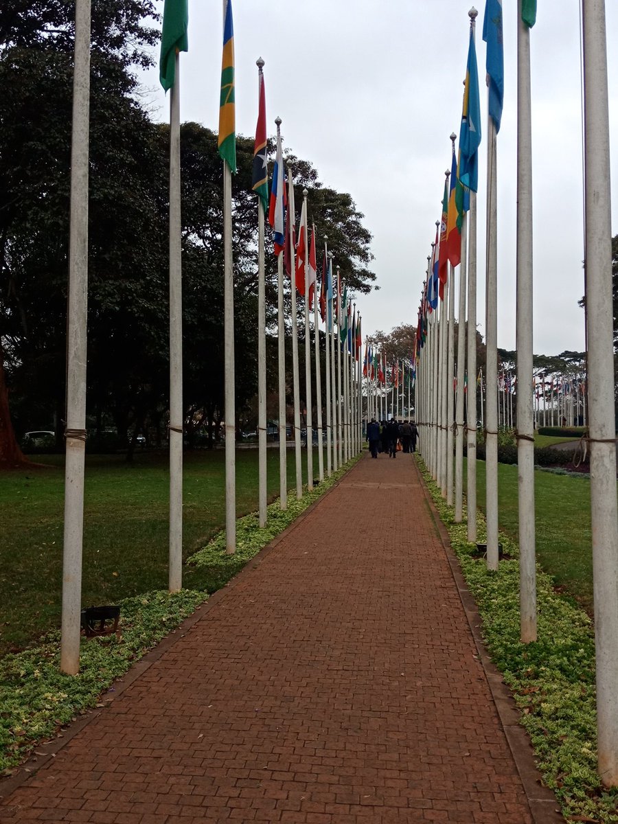 AlexKubasu's tweet photo. We are #ThinkingLandscapes today at the #GLFNairobi2018 at Gigiri in Nairobi #KeepKenyaBreathing #BringBackOurGreen https://t.co/zhS9f3swvo