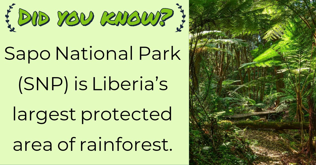 Multilog2's tweet image. 