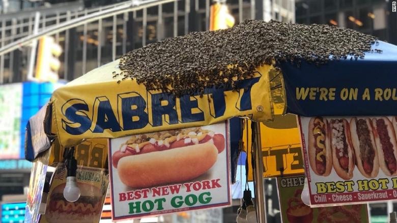 More than 40,000 bees swarmed a hot dog stand in New York's Times Square, turning the already-busy area into a hive of activity cnn.it/2NtBEMI