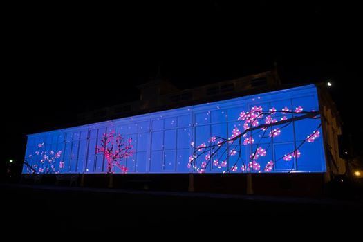 Diversity Arts tweet media