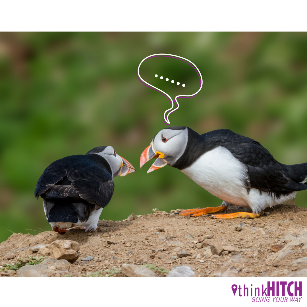 thinkhitch1's tweet photo. To gossip or not to gossip? We know it's bad but we all want to do it. Checkout our latest article at https://t.co/hmgkqisksv that helps argue for it on your behalf!

#gossip #Thinkhitch #BNE #article #BNE #commute #reducecongestion #makemoneywhilegoingtowork #nomoretraffic https://t.co/c9tdvVx9hb