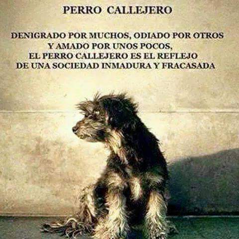 ♓⭐🍒 Bárbariux  🍒⭐❤&💫 tweet media