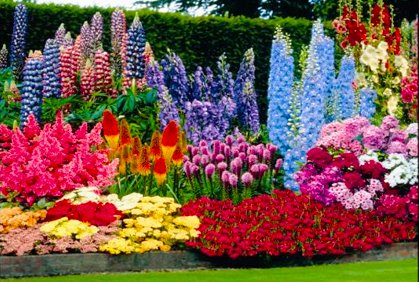 Do you think planting a #garden is a #spiritual #goal?