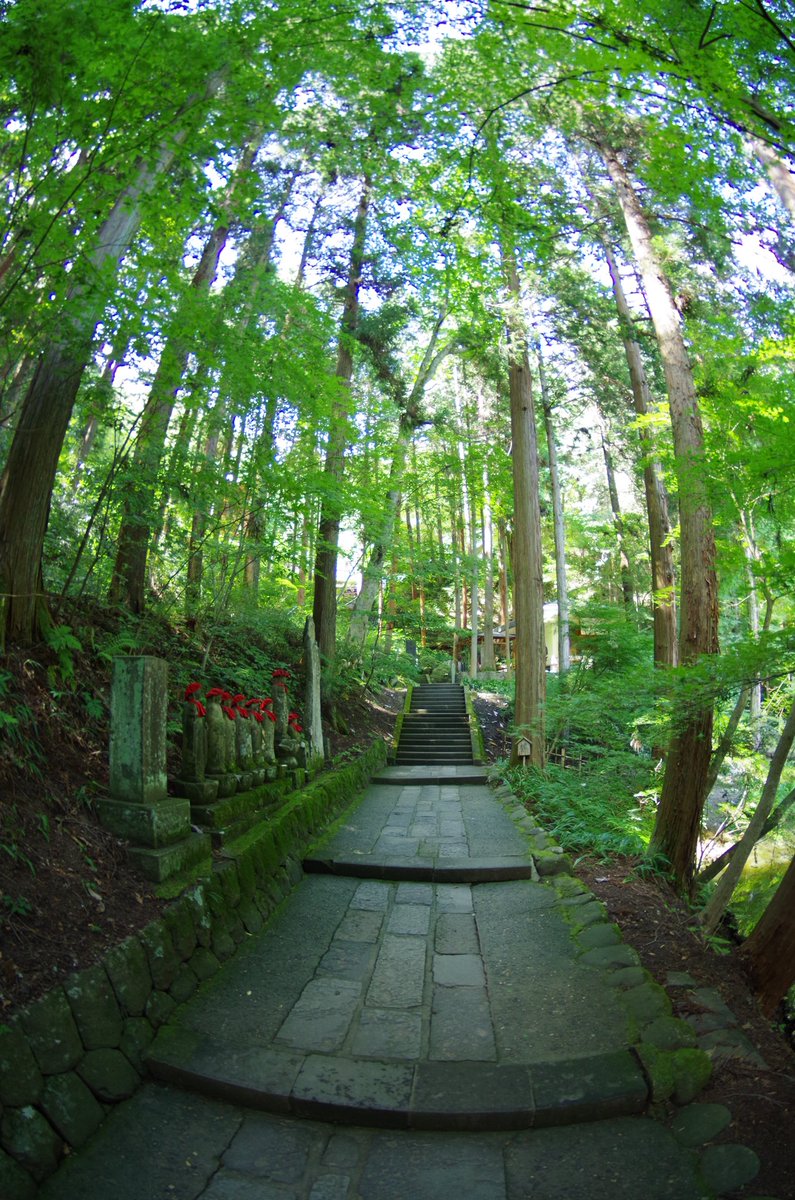 maple_glow_tree's tweet photo. #人生を変えてくれたレンズ
DA FISH-EYE 10-17mmF3.5-4.5
です。
このレンズが使いたくて一眼レフを買いました。
身近な人達に
「やめろ！PENTAXなんて変人扱いされるだけだ！」
「大人しくNIKONか Canonにするんだ！！」
って止められたけど満足してます。 https://t.co/d7Ck5CRw0K