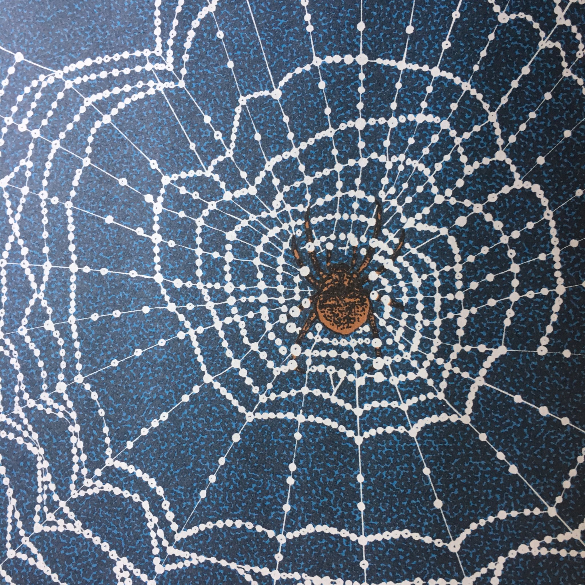 Naomin 蜘蛛の巣といえば 新宮晋さんの絵本 くも が最高に美しくて大好き できたての蜘蛛の巣の美しさといったらないからなあ ほつれた風情ももの悲しげで素敵やし