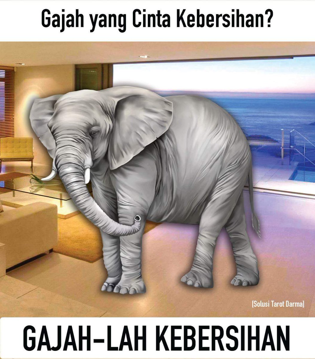 Download 840 Gambar Gajah Ketawa  Gratis HD