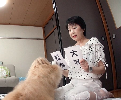 生き物にサンキューさん がハッシュタグ ネコ をつけたツイート一覧 1 Whotwi グラフィカルtwitter分析