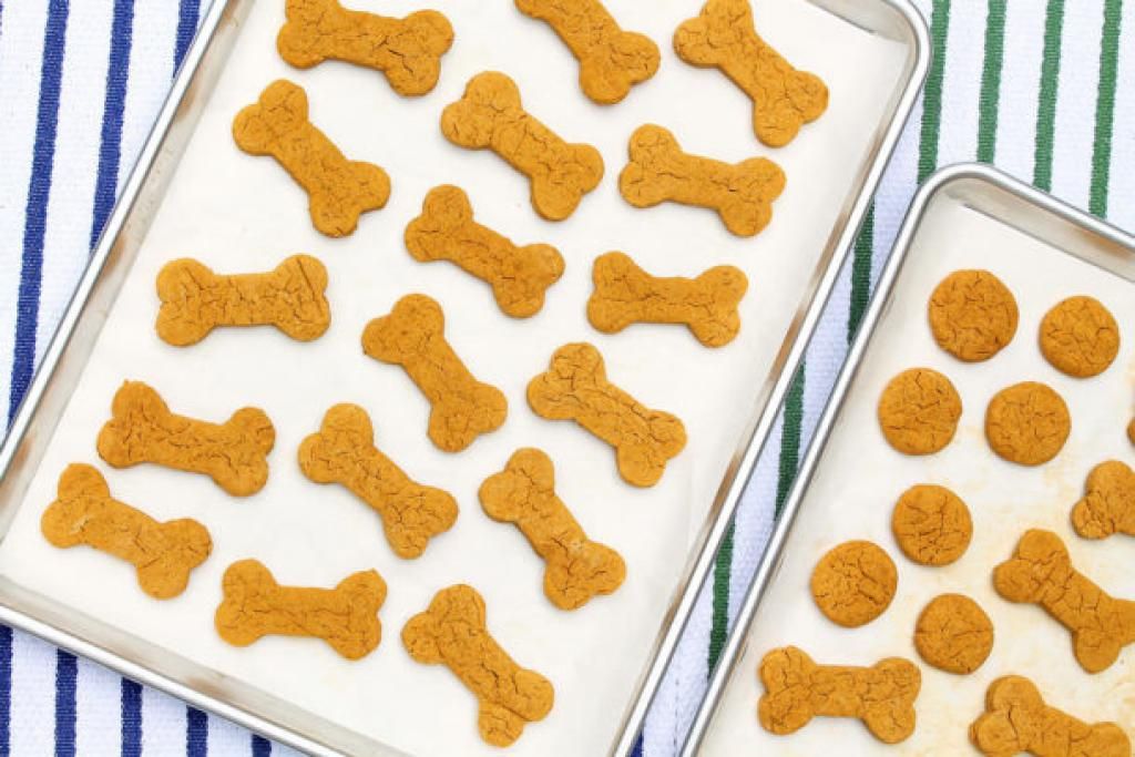 Jenniferkmille's tweet photo. Are you looking for a delicious dog treat for your canine friends? Here's how to make delicious sweet potato dog chews at home. Your dogs will thank you! https://t.co/kGxPWAQgeb #homemade #dog https://t.co/x29A1q6xiT