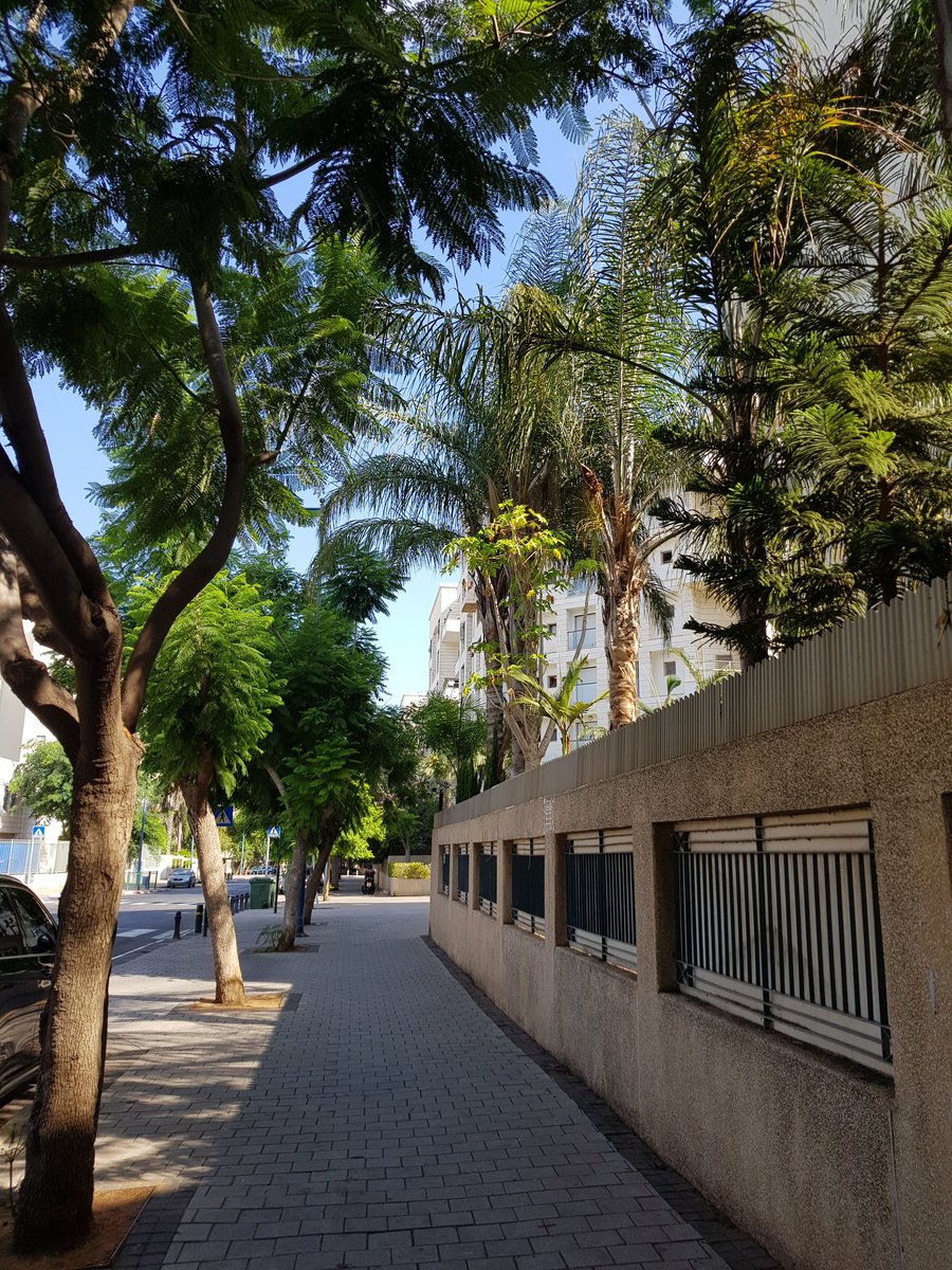 Froim's tweet photo. Summer time in Israel🇮🇱. Not a single drop of rain. And yet, wherever I look I see green🌱. #Drip_irrigation is used by municipalities and homeowners to keep urban green spaces and backyards vibrant year round.
#every_drop_counts
#water_tech https://t.co/l5pCVNSHvk