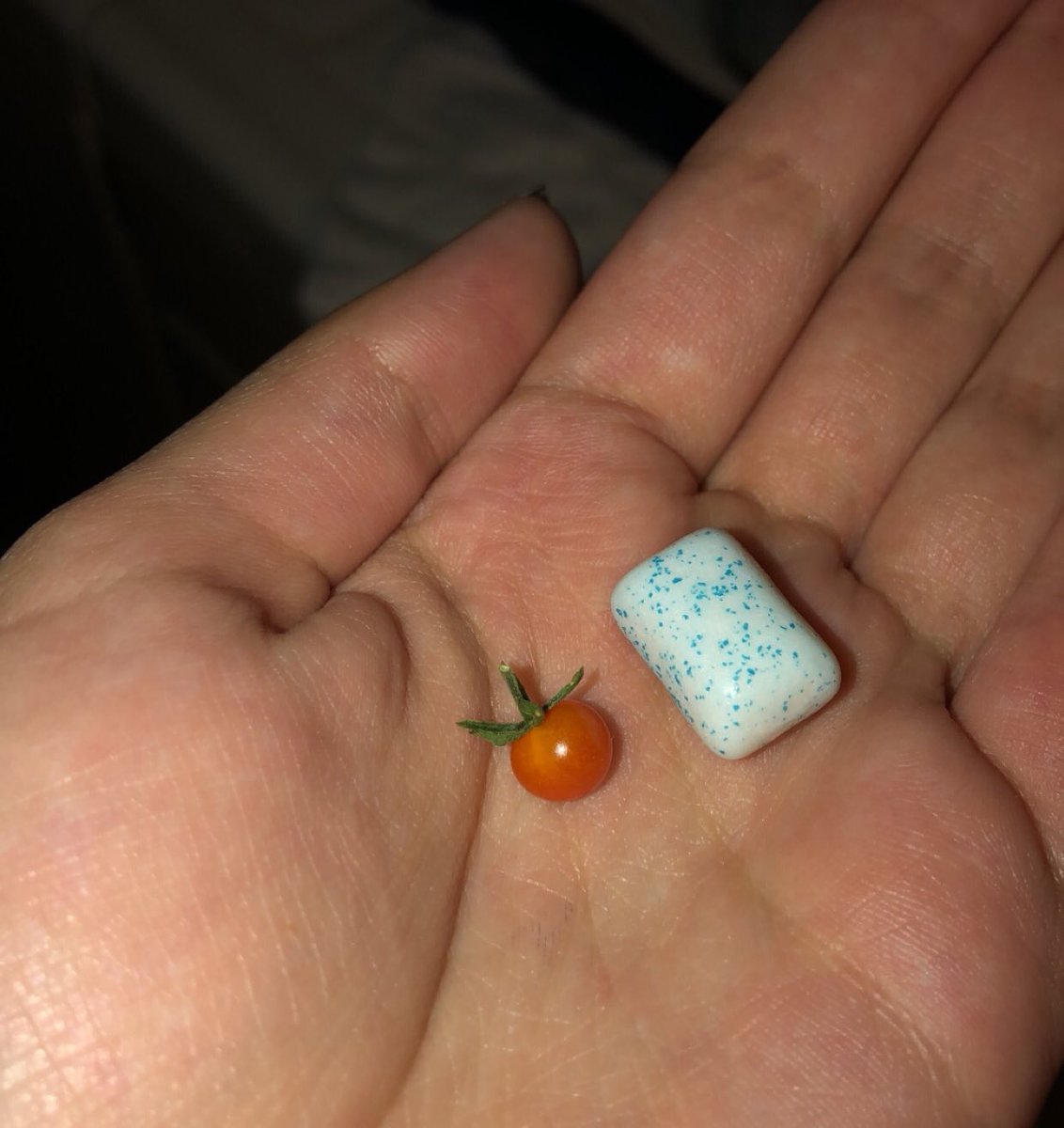 kasey ♌︎ tweet media