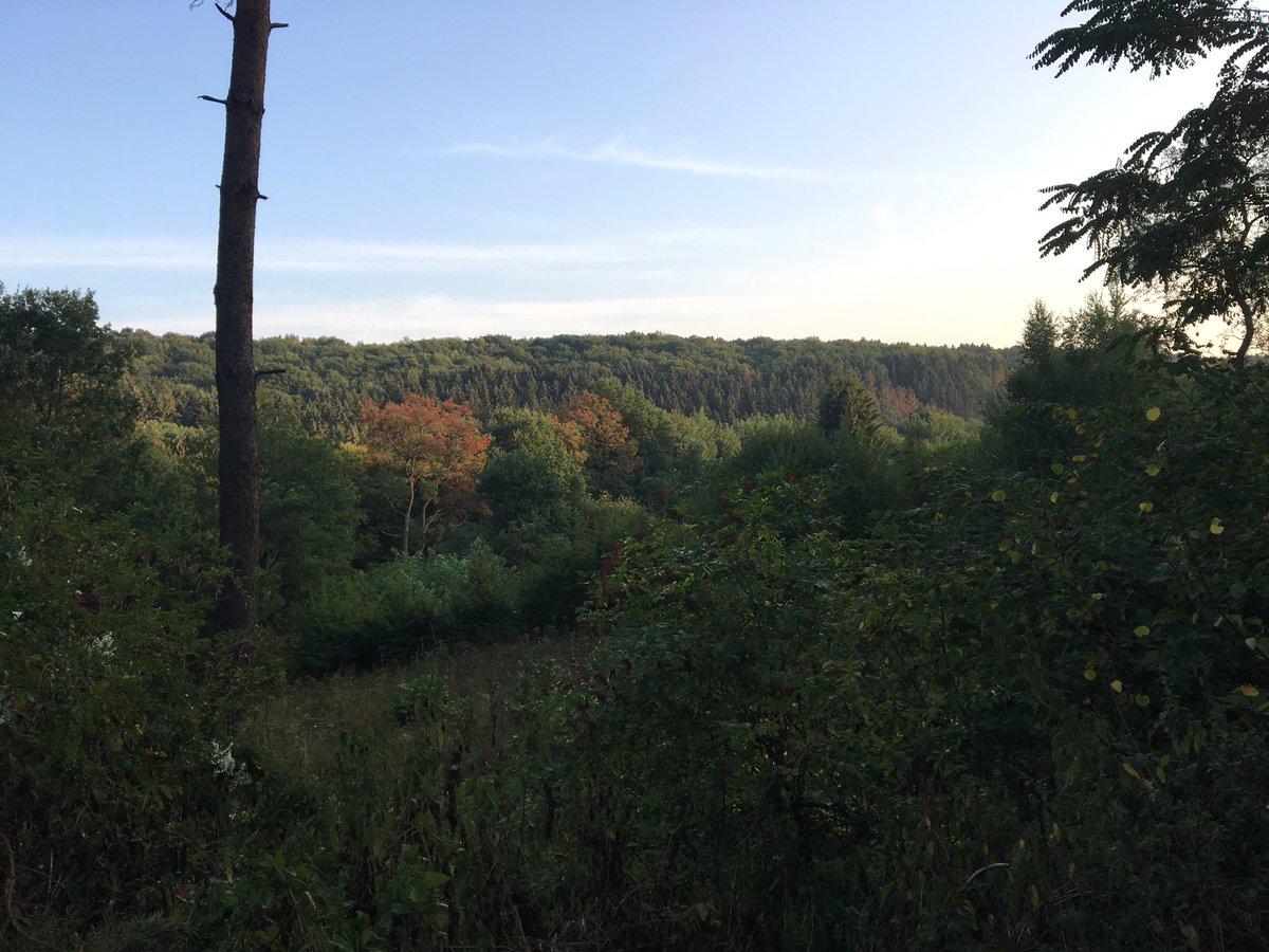 Wach werden im #westerwald 
Heute der zweite Tag unseres <a href="/wethinkingforum/">WeThinking Forum</a> 
#NewWork #andersArbeiten #agil #nennteswieihrwollt #telekomwall