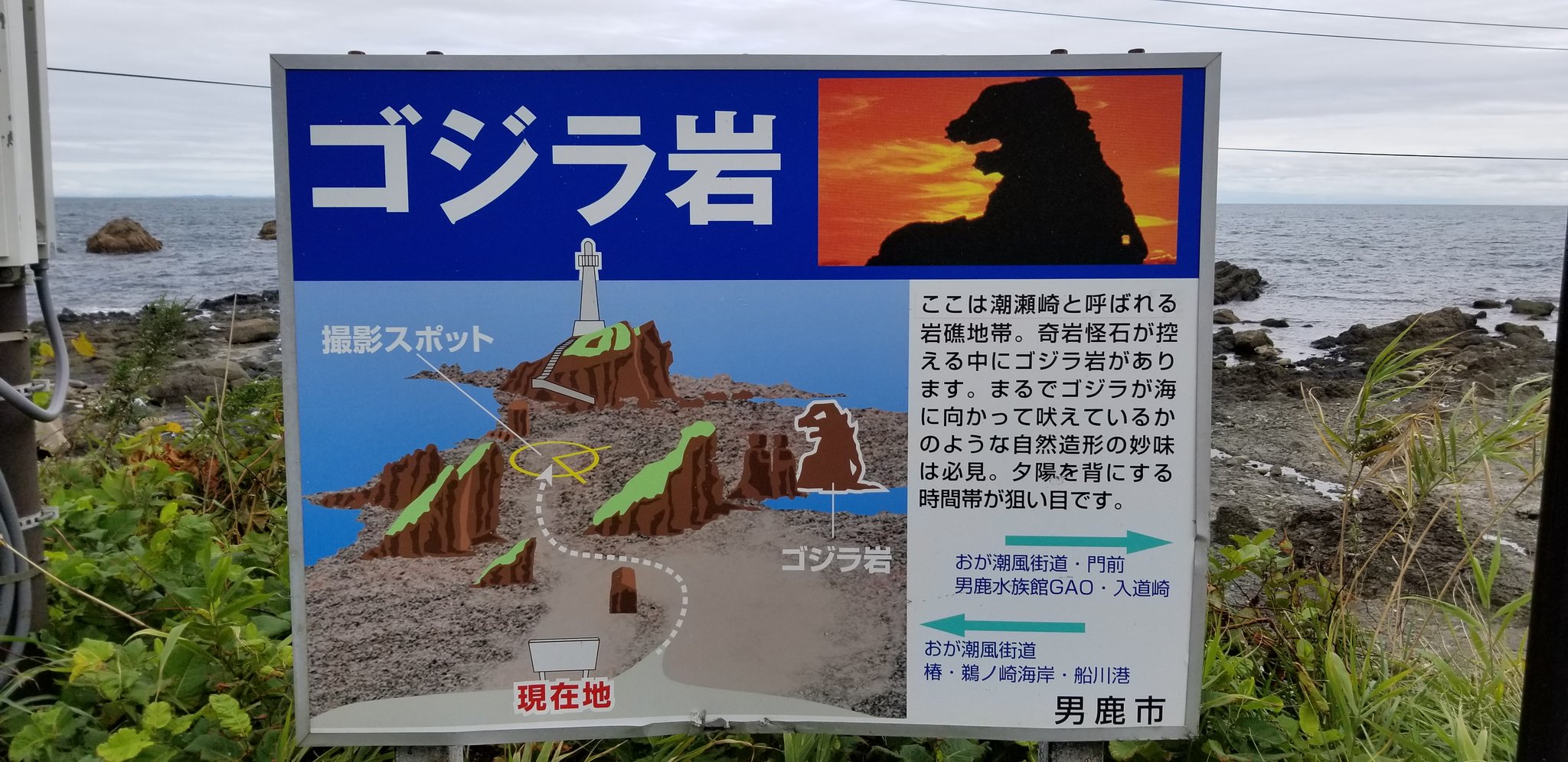 マッチー日本一周中(*＞∇＜)ﾉ 北海道編 on Twitter "秋田のゴジラ岩!! 横から見るとゴジラっぽい