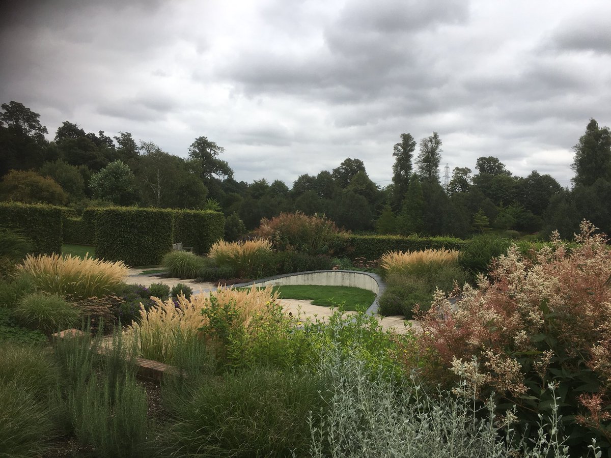 Harvey Stephens tweet media