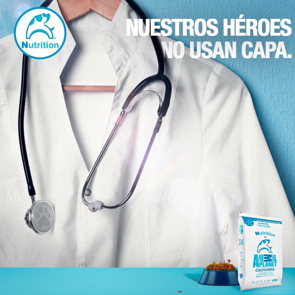 ap_mascotas's tweet photo. Felicidades a todos los veterinarios que cuidan a nuestros mejores amigos. https://t.co/BXkxQ7b9q1