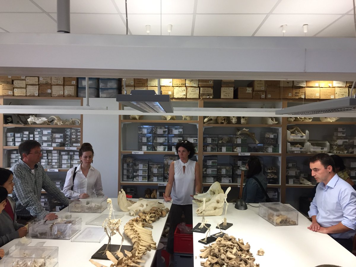 fra_dausilio's tweet photo. Archaeology and meat diet @UnivTours for our #iehcasu18 day lecture @IEHCA_Network https://t.co/UMMDNBOqCZ