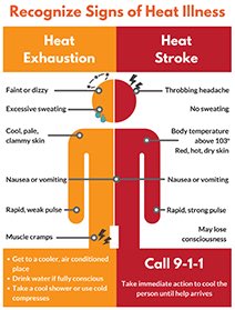 BartlettTreeMD's tweet photo. Watch Out Wednesday!!

Heat Related Concerns 😭🌳🌲🌴🌿 

@Nick_bartlettexpert @julianfrombartlett #bartletttreeexperts #trees #longisland #arborist #treework  #treecare #treeservice #treesurgeon #tree #stihl #stihlusa #chainsaw #nature https://t.co/jiho6jLwq2