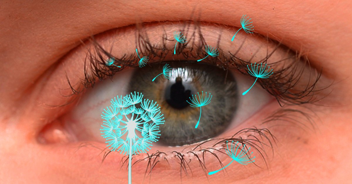 Langtonopt's tweet image. 8 Tips For Eye Allergy Sufferers dlvr.it/QhR9b6