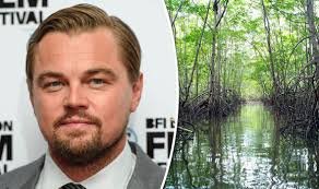 Global Landscapes Forum (GLF) (@globallf) on Twitter photo #Doyouknow that <a href="/LeoDiCaprio/">Leonardo DiCaprio</a> is a proud supporter of the <a href="/mikoko_pamoja/">Mikoko Pamoja</a> Pamoja mangrove blue carbon project in Kenya - James Kairo #Doyouknow that <a href="/LeoDiCaprio/">Leonardo DiCaprio</a> is a proud supporter of the <a href="/mikoko_pamoja/">Mikoko Pamoja</a> Pamoja mangrove blue carbon project in Kenya - James Kairo