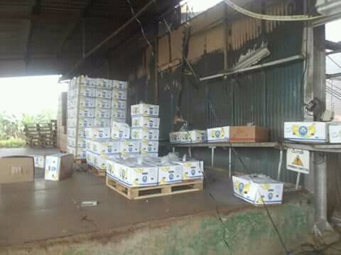 AmbaChild1111's tweet photo. Paul Biya's Terrorist Military Gang Keeps Burning Our Establishments !! CDC Banana Storage Centre Bafanja1 Completely Burnt Down! ! 24/08/2018
@PaulKagame @POTUS @antonioguterres @EmmanuelMacron @amnesty @UNHumanRights @commonwealthsec @nikkihaley @PunchlineAfric @camanpour https://t.co/2B00vOuPOB