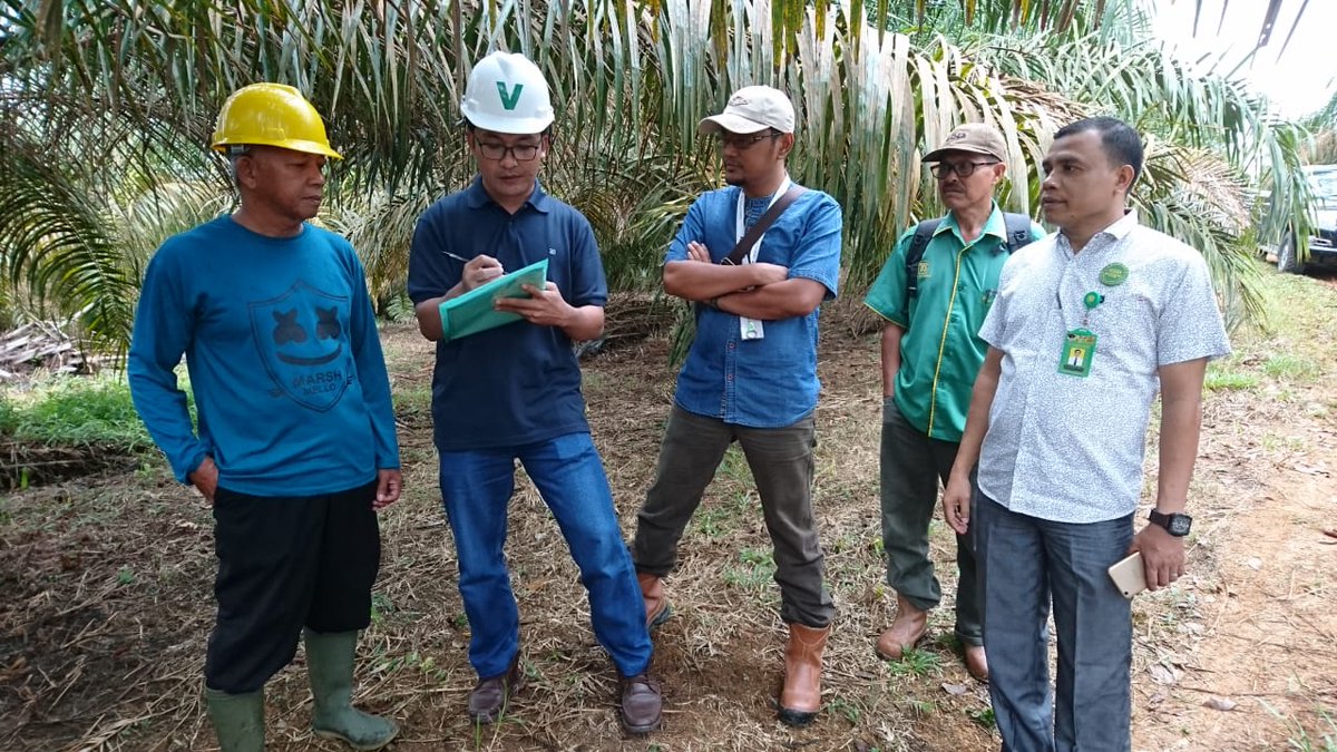 SMART_Sinarmas's tweet image. [27-29 Agustus 2018] Program Collaboration for Transformation (CFT) kami di PT. Tribakti Sarimas (Sarimas Group), Riau bertujuan untuk terapkan kemamputelusuran hingga ke kebun, gali informasi permasalahan &amp;amp; laksanakan program dukungan di tingkat petani pemasok TBS #SMARTEvent