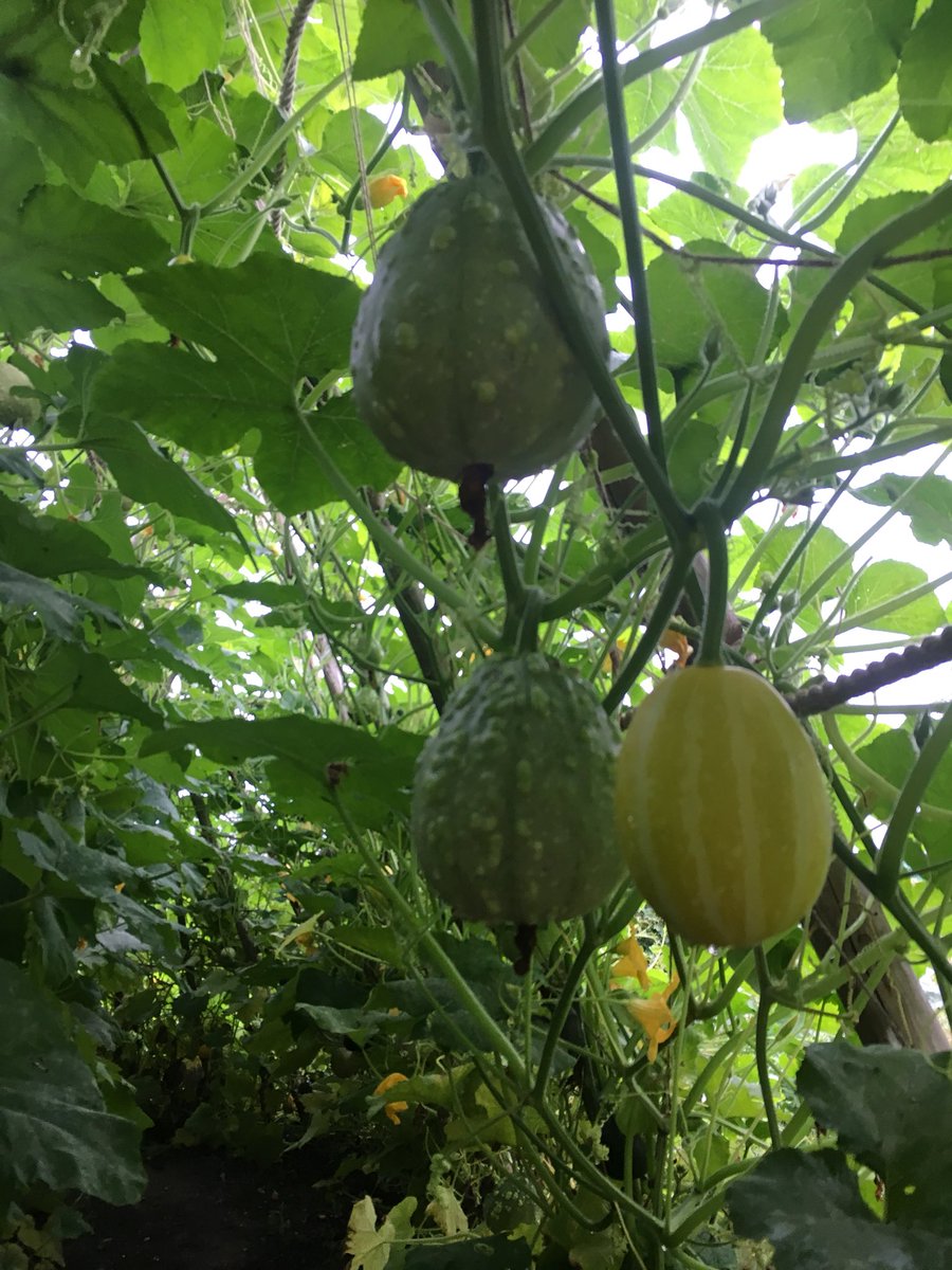 Stephen Bulmer tweet media