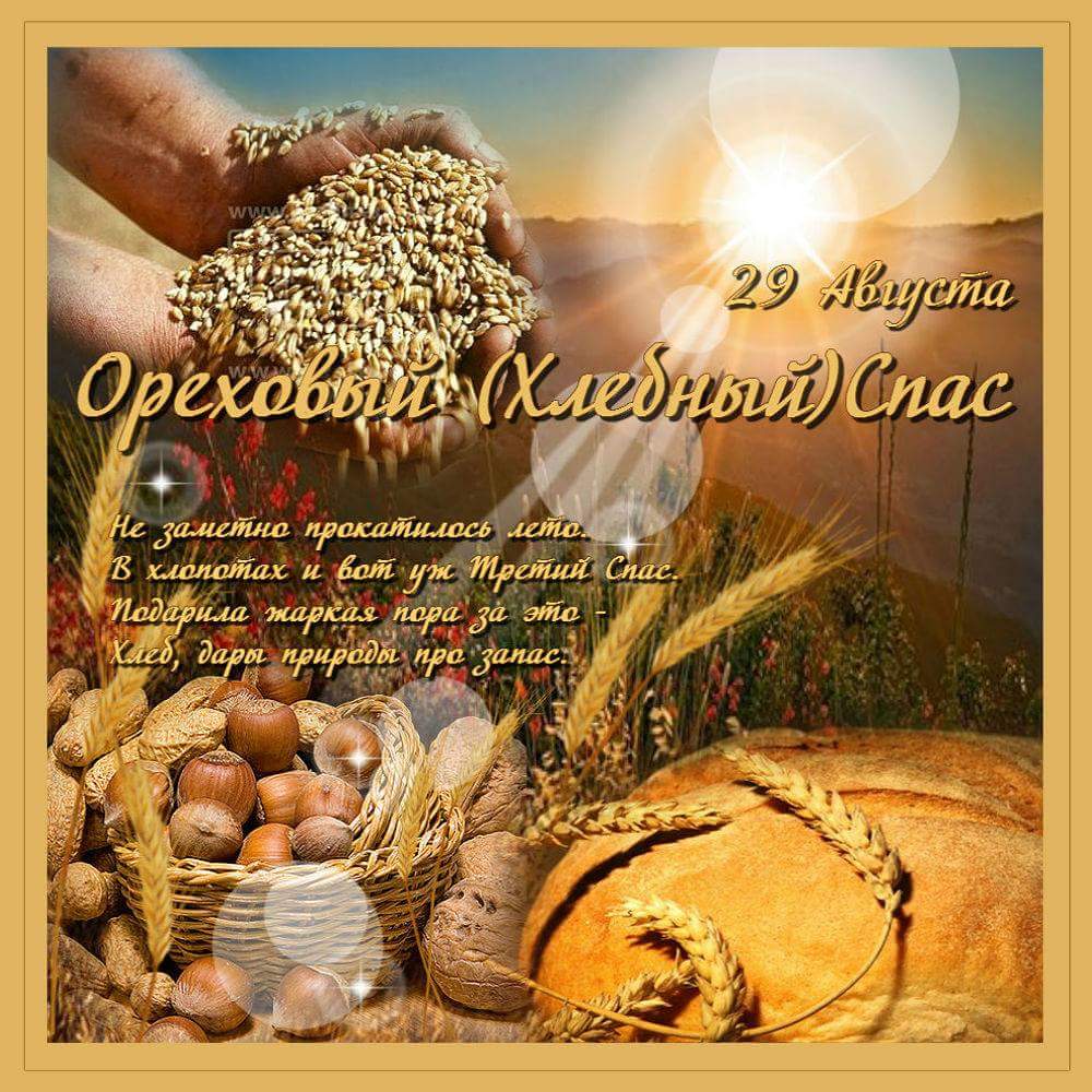 Открытка ореховый и хлебный спас