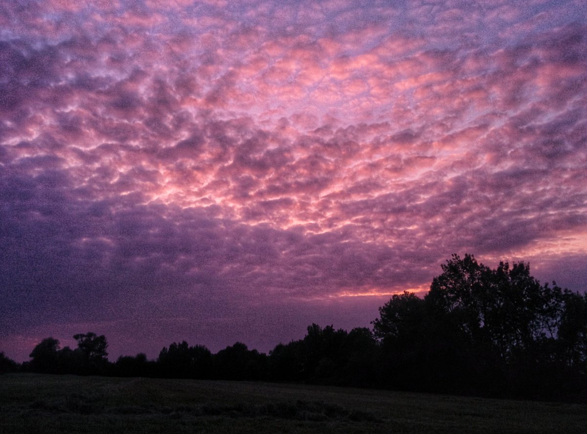LarisaFoto's tweet photo. Juste quelques couchers de soleil au hasard en France, août 2017. #photography #instaphotography #instaphoto #holiday #instacation #France #Loire #maineetloire #camping #sunset #zonsondergang #wolken #clouds #cloudporn #skyporn #sunset_madness #sunset_pics #sunsets #500pxrtg https://t.co/wbpz8dJabw
