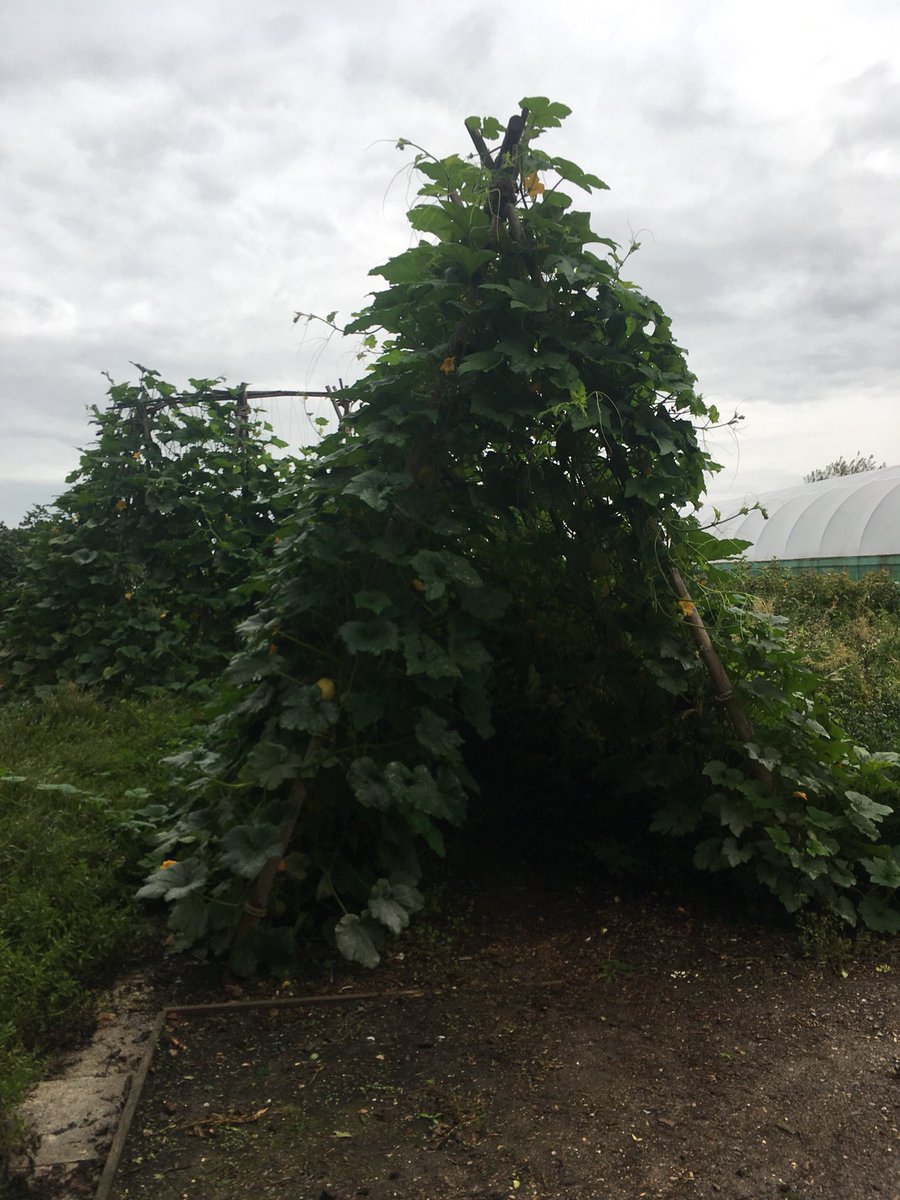 Stephen Bulmer tweet media