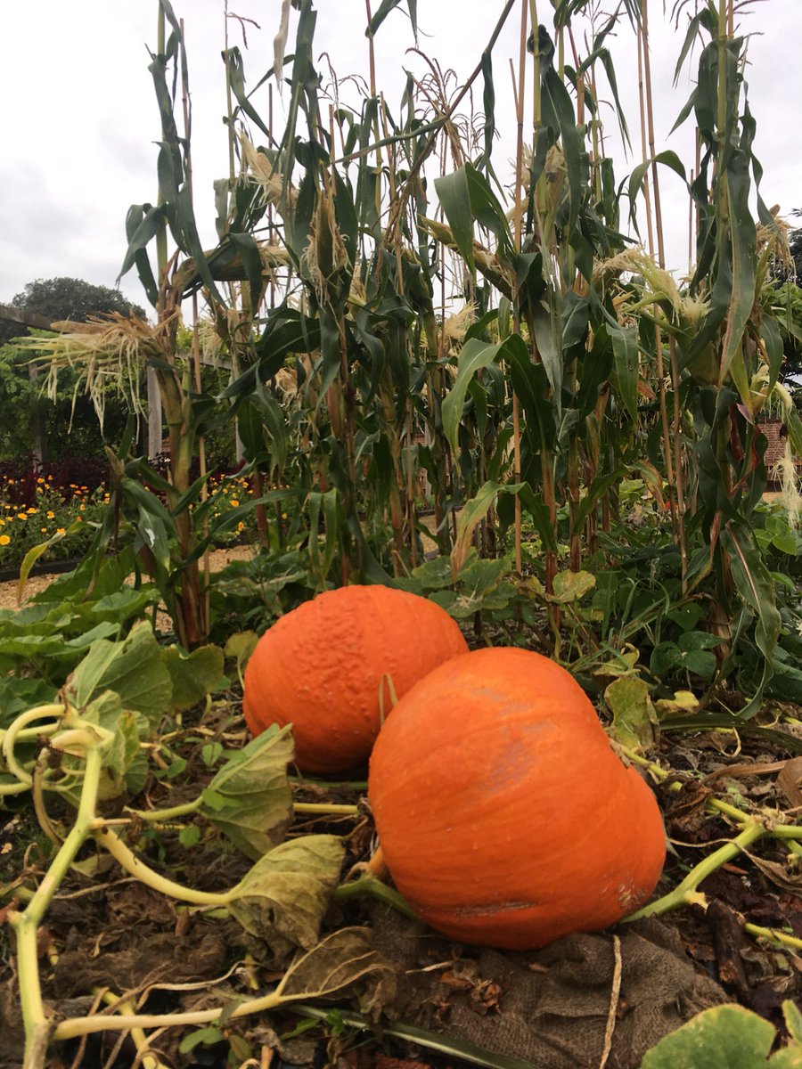 Stephen Bulmer tweet media