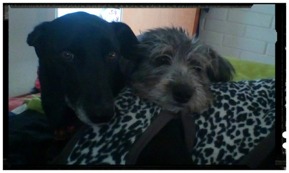 IKD Ventas Bogotá tweet media