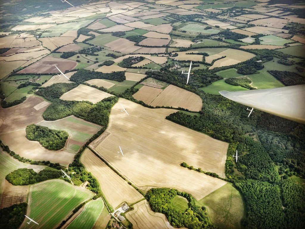 How many gliders can you spot?