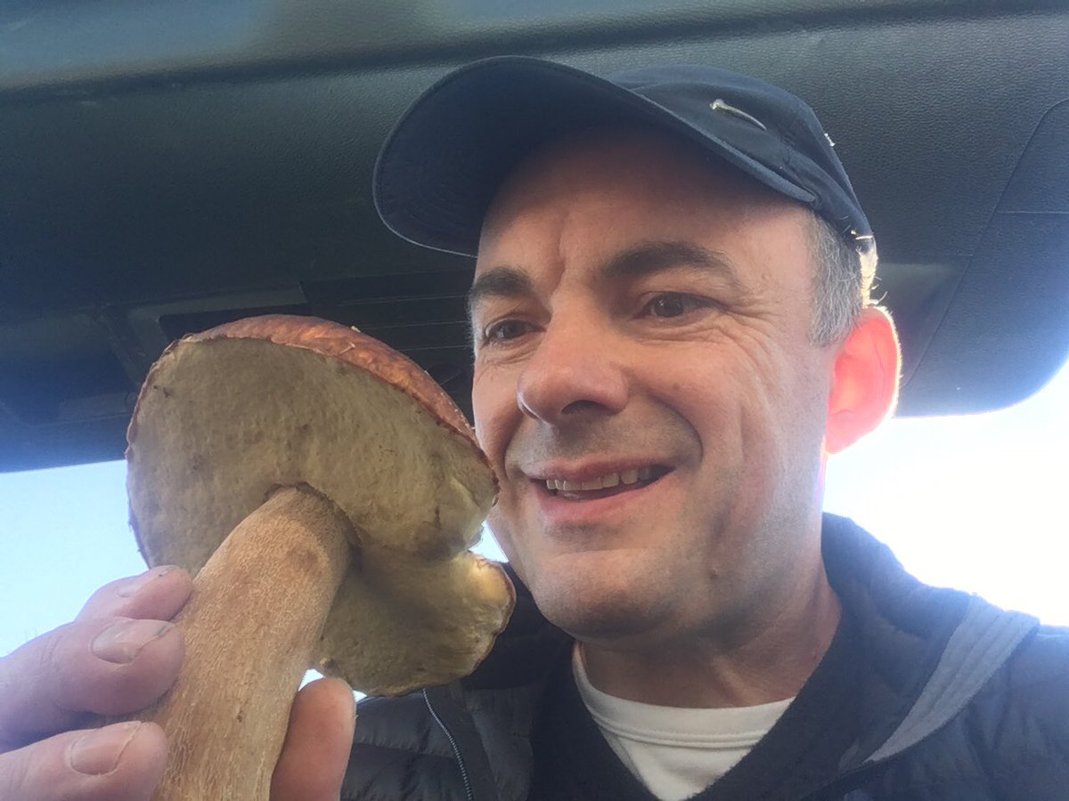 Stephen Bulmer tweet media