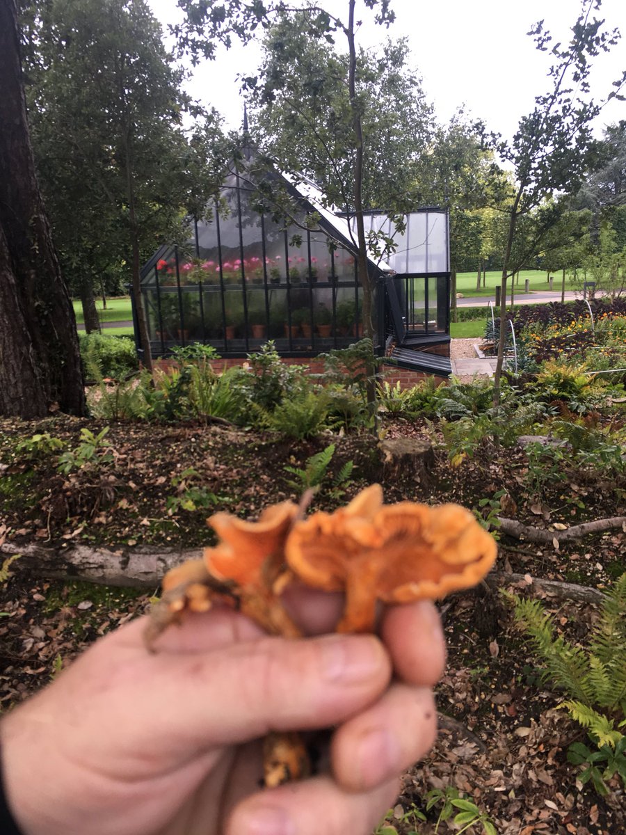 Stephen Bulmer tweet media