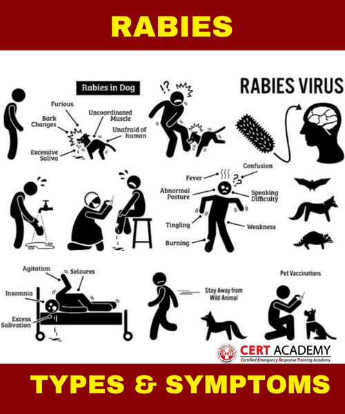 CERT_Academy's tweet photo. #Rabies
Letβs know about the #Causes, #Types & #Symptoms of #Rabies
Follow the thread
https://t.co/LLVNeP3b1E
Sharing is Caring
Let your friends know the #LifeSavingSkill
To be a #CertifiedFirstAider, contact us:
T: 010-408 2117
#FightAgainstMyth
#FirstAid
#CERTAcademy https://t.co/UY7XLLHzoS