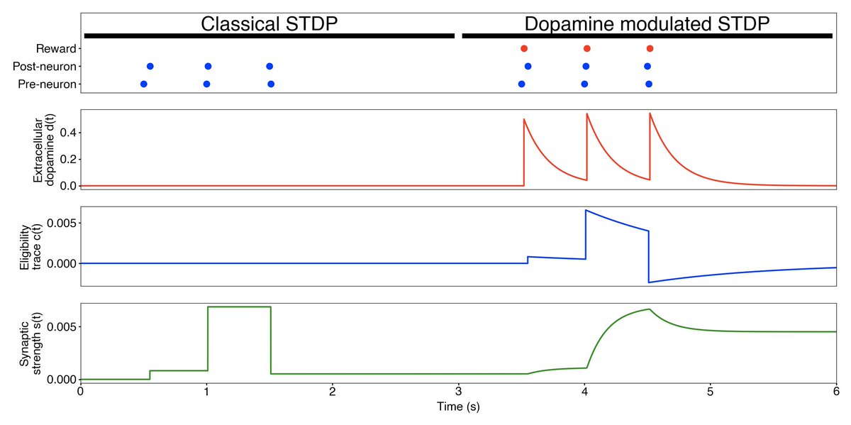 introspection's tweet photo. 🍾 1st contribution accepted &amp; merged into https://t.co/k4ZcCgqwFp the free, #OpenSource simulator for spiking #NeuralNetworks in #Python 🐍🧠🤖

💻 My code implements a biophysical model of a synapse combining #HebbianLearning &amp; #ReinforcementLearning: https://t.co/Qw92skzl7V https://t.co/lC4HTL3POf