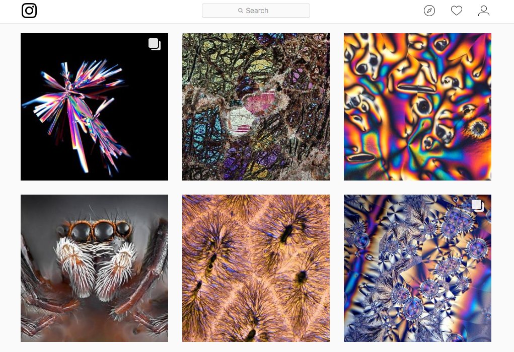 JournalofMicroscopy tweet media