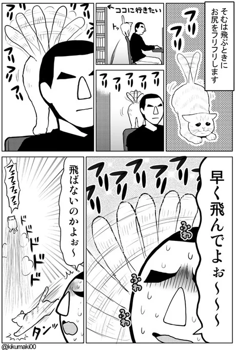 フリフリ　#タレ目猫そむ　#タレ目猫そむが可愛すぎるんじゃ 