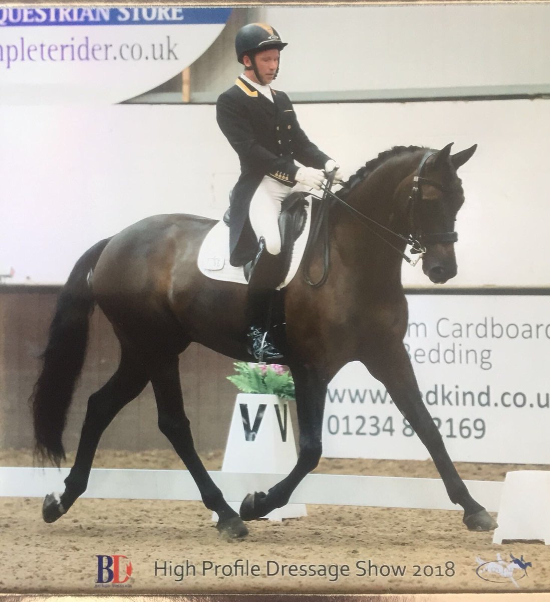 I have a space coming available next month for a training/competition livery. Small, private yard with 5 star facilities and relaxed environment near wantage, Oxfordshire. Please inbox or email: shaunm995@googlemail.com for more info.#livery #rider #horse #dressage #lifeofshaun🦄