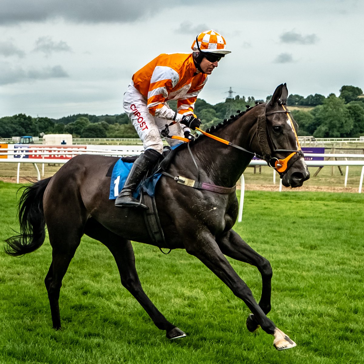 Paul George Sport Horses (@pauljhgeorge) on Twitter photo Just the one runner today <a href="/WorcesterRaces/">Worcester Racecourse</a> Simon the Great and <a href="/SansomDan/">daniel sansom</a> takes the ride. He seems well at home. #simon Just the one runner today <a href="/WorcesterRaces/">Worcester Racecourse</a> Simon the Great and <a href="/SansomDan/">daniel sansom</a> takes the ride. He seems well at home. #simon