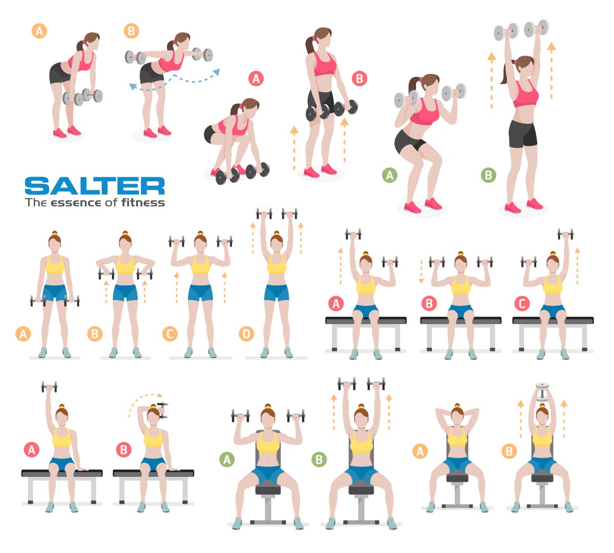 Exercise Rutinas De Gym Biceps Y Triceps Antebrazo Rutina De Gym