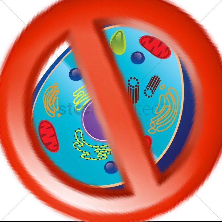 PaultheCellWall's tweet photo. The animal cells said they don’t need us so we don’t talk to them. @wcsFvHsdd https://t.co/pe20hqL9XQ