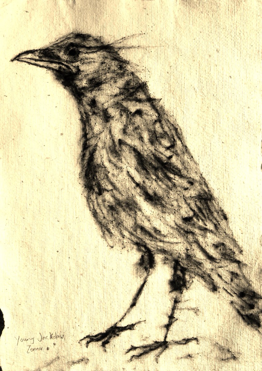 RowenaScotney's tweet image. 'One good sound is the sound of nature occurring 
At the flayed edge of the idea's ear.
I think today I will fly away...
Where idea begins and language starts
To want to go somewhere, to want to be
Alive in another animal in its particular
Antic' #zennorjackdaw #wsgraham #Sold🌟