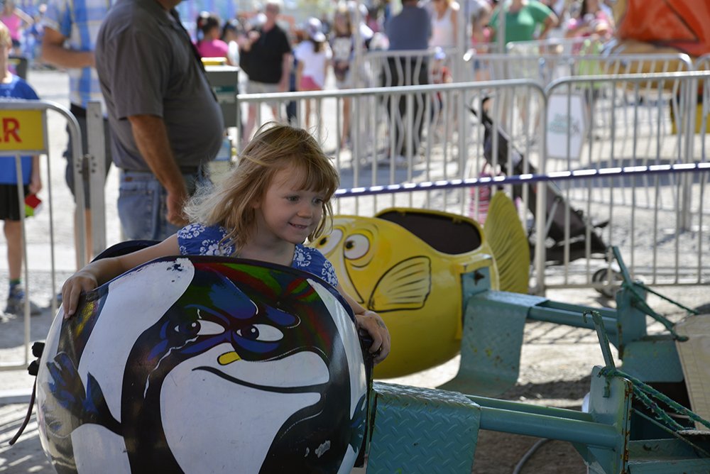 2018 Quinte Exhibition Fair Aug.30 Sept. 2. Details qer.ca/quinteexhibit… https//t.co