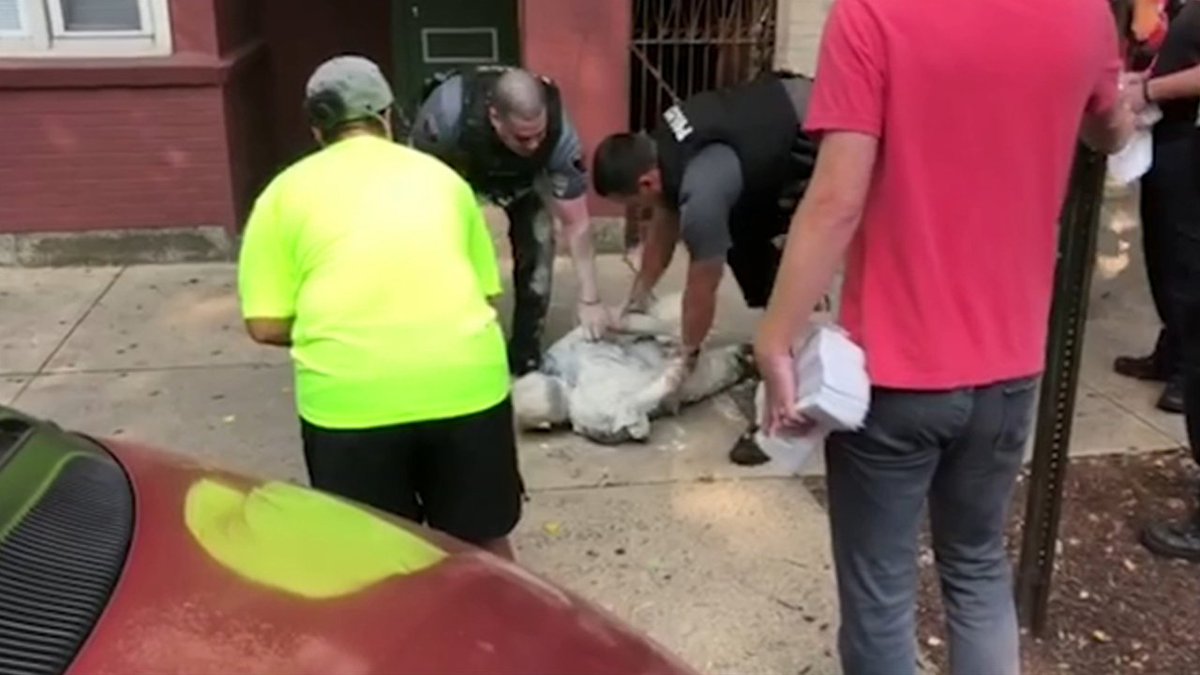 Man steals truck full of white paint... when he crashed, this happened. bit.ly/2Pw9QbZ?utm_so… https://t.co/5HCnP9ev8d