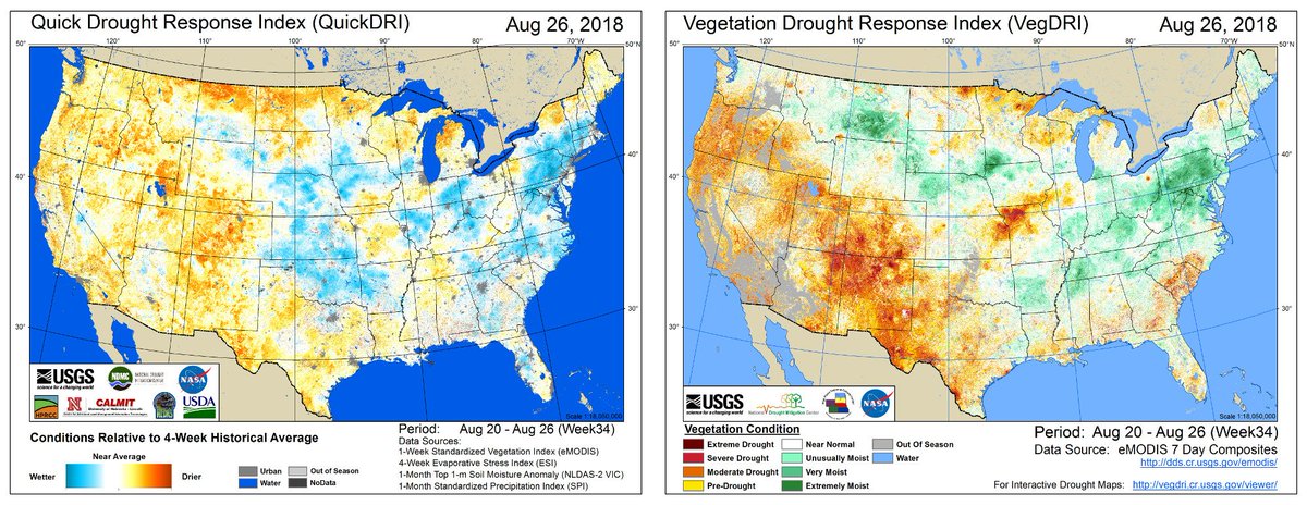 What can vegetation conditions tell us about #drought and precipitation trends in the conterminous United States? Here’s what our VegDRI and QuickDRI maps say this week. See the change week-to-week by following this link: vegdri.cr.usgs.gov