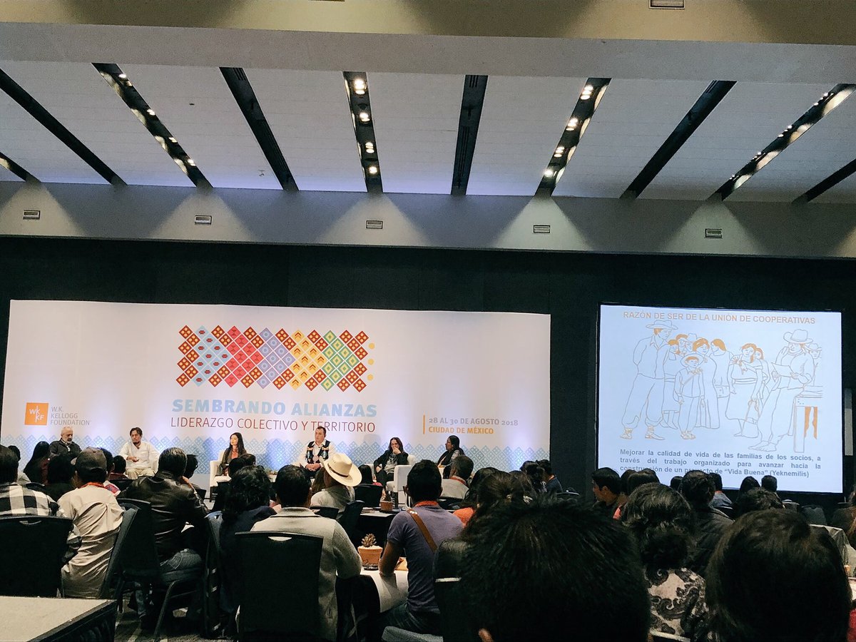 Manuel Meneses Namihira tweet media