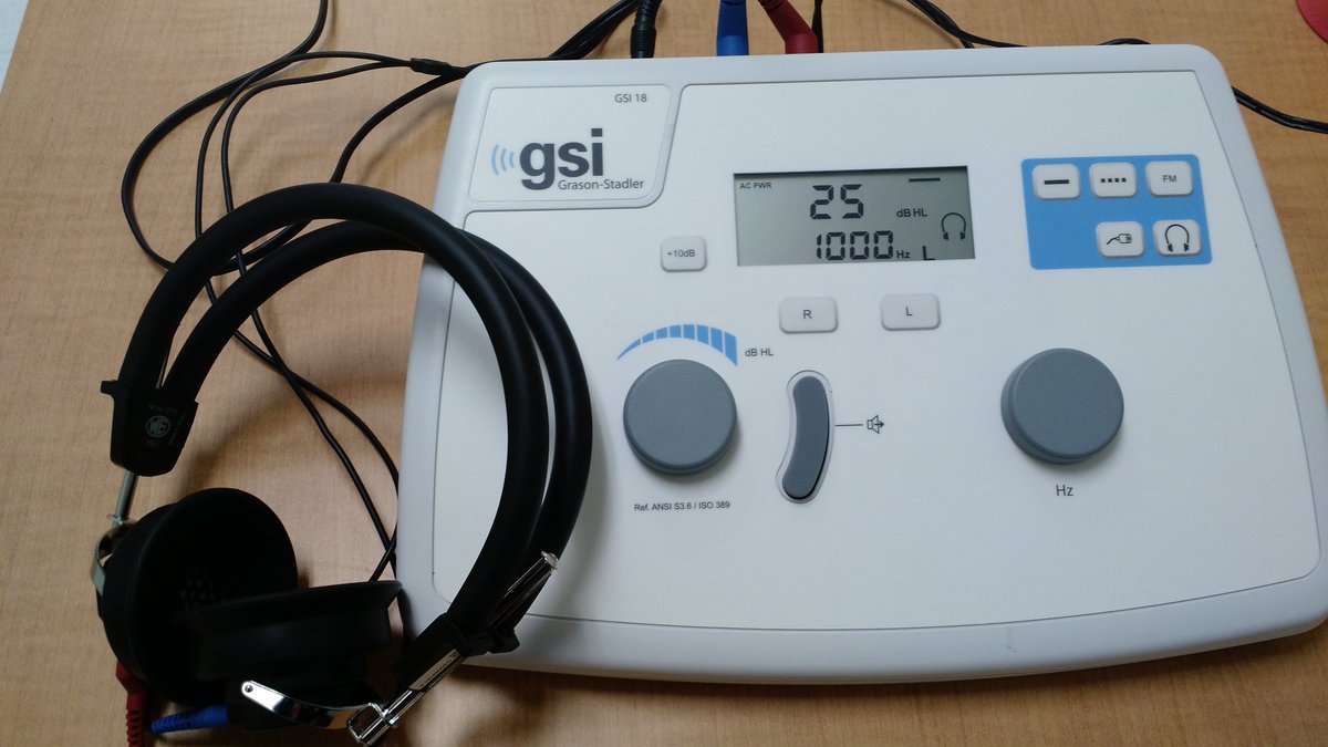 So much fun to get to meet all the Kinder Hawks during hearing screenings.