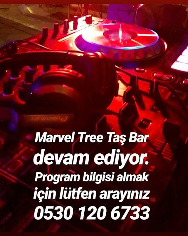 MarvelTree's tweet photo. https://t.co/gsPZjrD3ZS https://t.co/Yonq7gGPIg