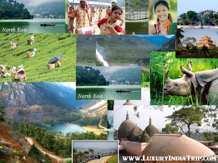 Best itinerary for 9 nights & 10 days for North East India Tour | Holiday packages for North East India | Best places to visit in North East India
luxuryindiatrip.com/north-east-ind…
#LuxuryIndiaTrip #NorthEastIndiaTour #TourPackages #HolidayPackages #Tour #Travel