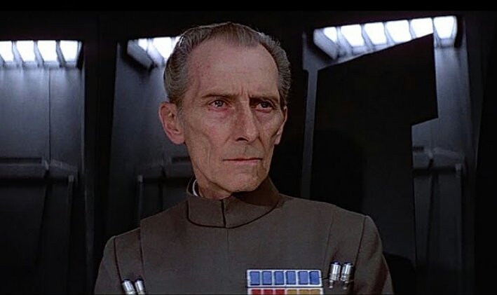 鳴かぬなら君ならどうするホトトギス Lang Ja Twitter Search